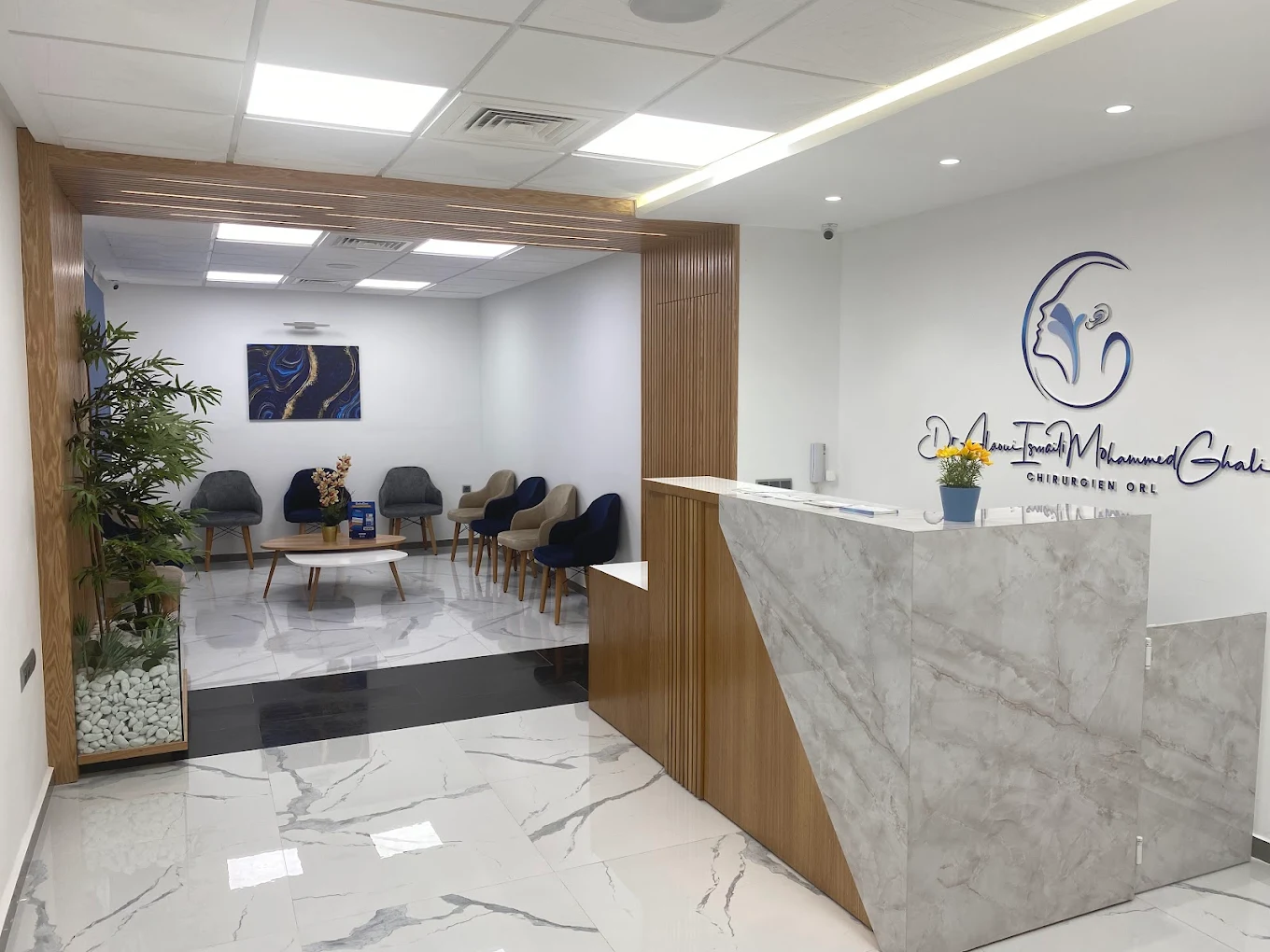 Espace d'accueil du cabinet, comptoir en marbre